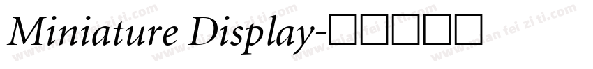 Miniature Display字体转换